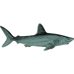Shark 1b