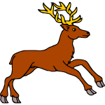 Deer 11c