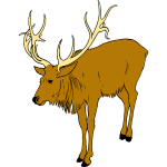 Deer 1b