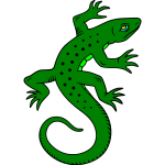 Lizard 1b