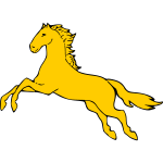 Horse 11b