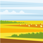 Rural fields landscape