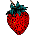 Strawberry 1b