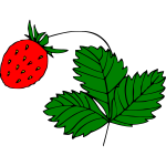 Strawberry 2b