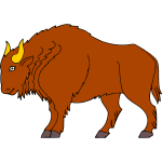 Bull 5b
