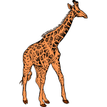Giraffe 3b