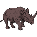 Rhino 1b
