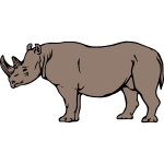 Rhino 5b