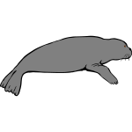 Seal 1b