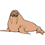 Walrus 1b