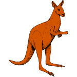 Kangaroo 1b