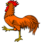 Cock 1b