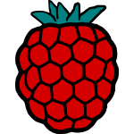 Raspberry 1b