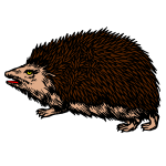 Hedgehog 1b