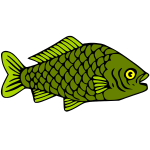 Fish 12b