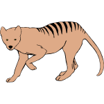 thylacine 1b