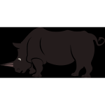 Rhino 9b