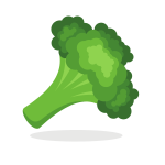 Broccoli plant-1702478406