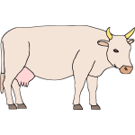 Cow 3b