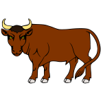 Bull 7b