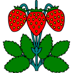 Strawberry 4b