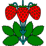 Strawberry 4c