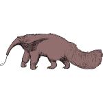 Anteater 1b