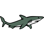 Shark 8b