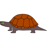 Turtle 2b