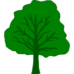 Tree 4c