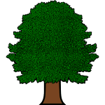 Tree 6b