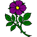 Flower 10b