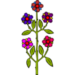 Flower 11c