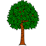 Tree 11b