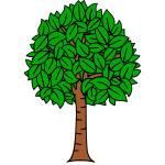 Tree 11c