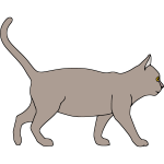 Cat 7b
