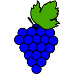 Grapes 21b