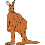 Kangaroo 4b