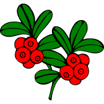 Cranberry 1b