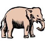 Elephant 13b