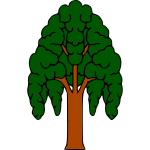 Tree 13b