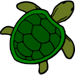 Turtle 3b