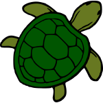 Turtle 3c