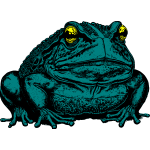Frog 3b