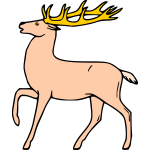 Deer 31b