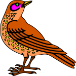 Bird 16