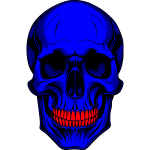 Skull 1c