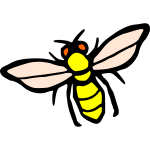 Insect 3b