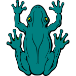 Frog 6b