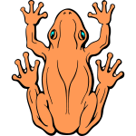 Frog 6c